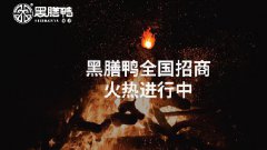 黑膳鸭加盟费是多少？加盟条件是什么